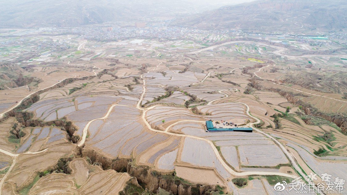 强3d女角色的养成游戏_国家标准住宅项目规范发布